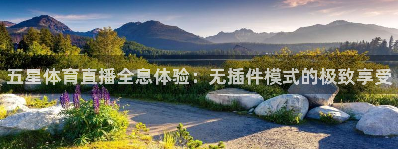 龙门直播app足球直播下载手机版：五星体育直播全息体验：无插件模式的极致享受