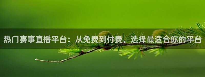 龙门直播在线观看：热门赛事直播平台：从免费到付费，选择最适合你的平台
