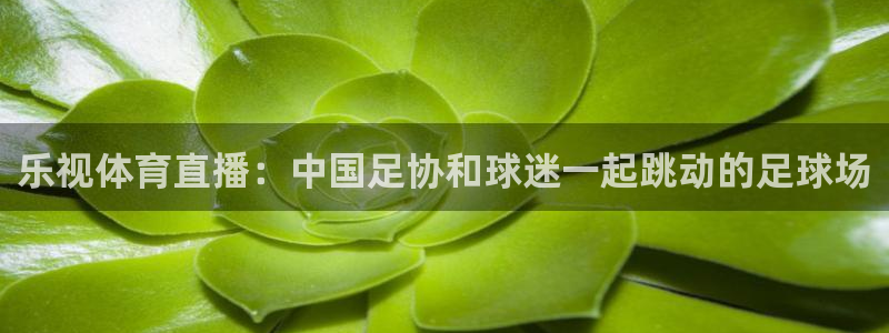 龙门直播在线直播：乐视体育直播：中国足协和球迷一起跳动的足球场
