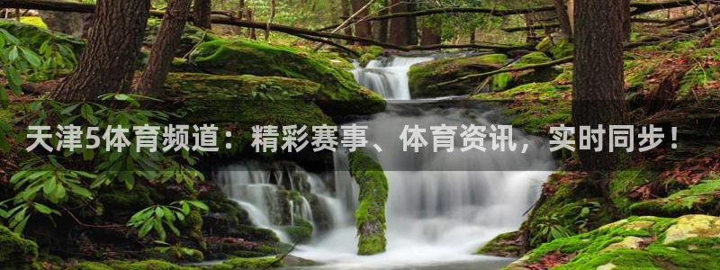 龙门飞甲粤语在线看：天津5体育频道：精彩赛事、体育资讯，实时同步！