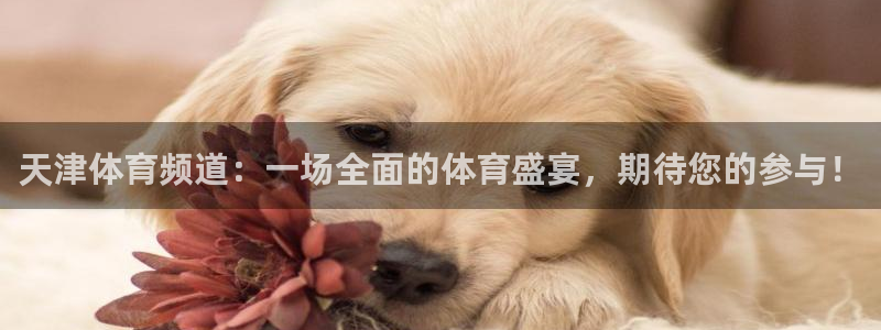 龙门体育直播在线观看：天津体育频道：一场全面的体育盛宴，期待您的参与！