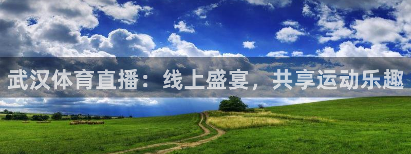 龙门直播免费体育直播：武汉体育直播：线上盛宴，共享运动乐趣