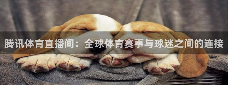 龙门直播在线直播：腾讯体育直播间：全球体育赛事与球迷之间的连接