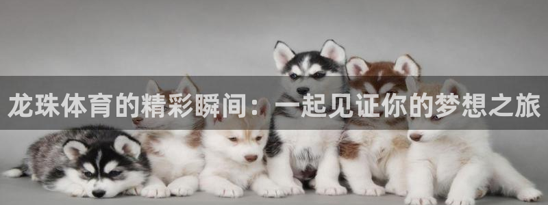 龙门直播体育：龙珠体育的精彩瞬间：一起见证你的梦想之旅