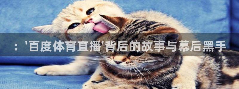 龙门直播间：：\'百度体育直播\'背后的故事与幕后黑手