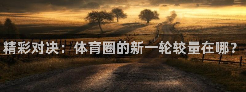 龙门飞甲超清在线播放：精彩对决：体育圈的新一轮较量在哪？