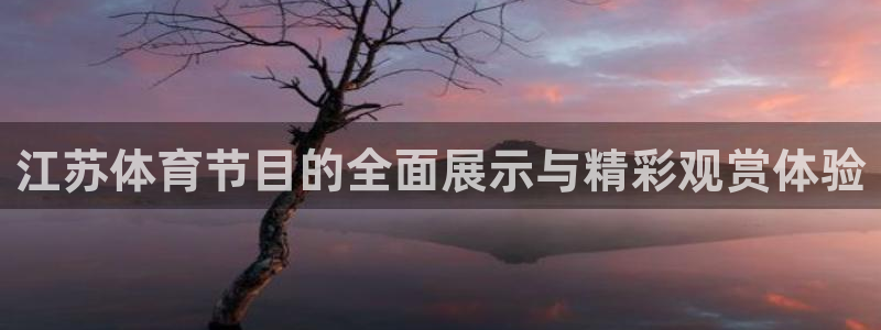 龙门体育频道在线直播：江苏体育节目的全面展示与精彩观赏体验